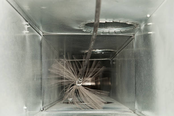 Best Ventilation Cleaning Services  in Westernport, MD